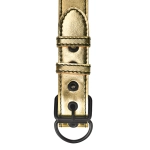 Erotic collar Bondage Fetish - gold