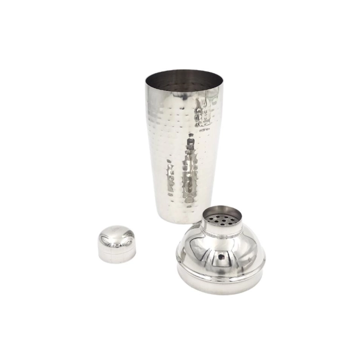 Exclusive bartender set stainless steel (6 elements)