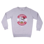 Disney Minnie Sweatshirt 2, 4, 6, 8, 10 Jahre - lizenziertes Produkt