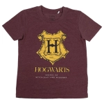 Piżama Harry Potter - produkt licencyjny