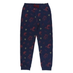 Harry Potter Hogwarts pajamas - sizes 6-14 years - licensed product