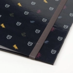 A4 ring binder Harry Potter - licensed product
