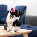 Różdżka dla kota Myszka Minnie - produkt licencyjny