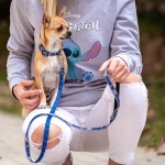Obroża dla psa Disney Stitch XS/S