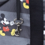 Disney Mickey Mouse pet carrier - licensed product