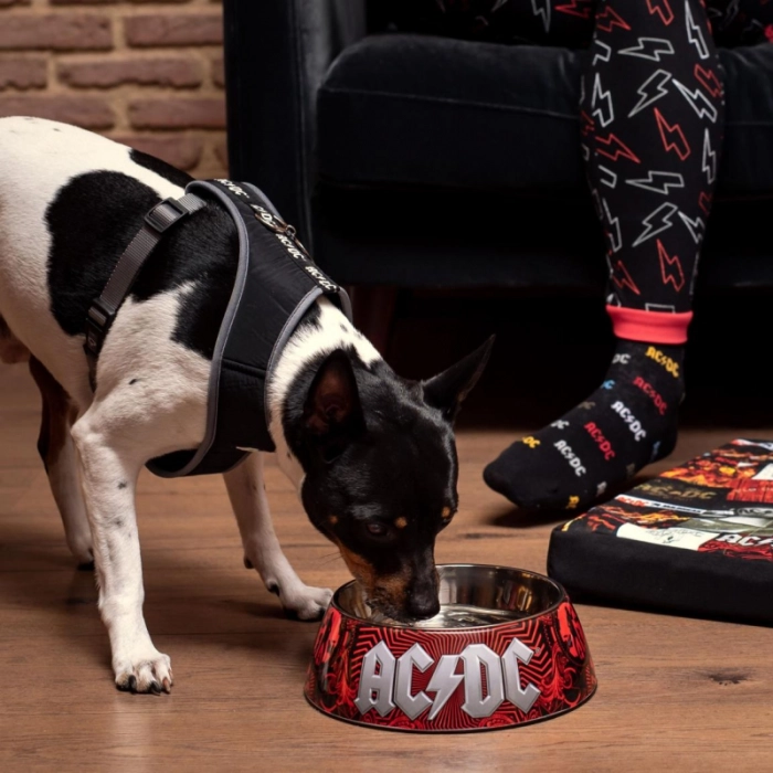Komplet dwóch misek dla pupila ACDC - L
