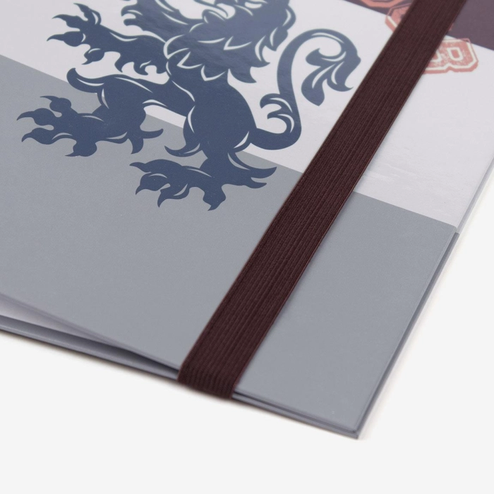A4 ring binder Harry Potter Gryffindor- licensed product