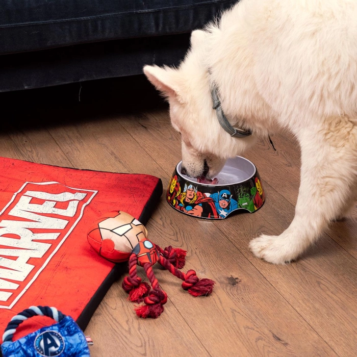 Komplet dwóch misek dla pupila Marvel - S