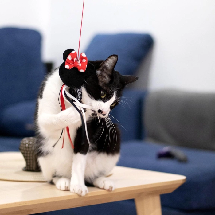 Różdżka dla kota Myszka Minnie - produkt licencyjny