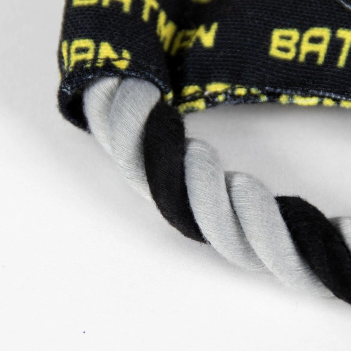 Batman dog chew and toothbrush - licensed product