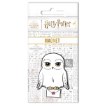 Magnes Harry Potter - produkt licencyjny
