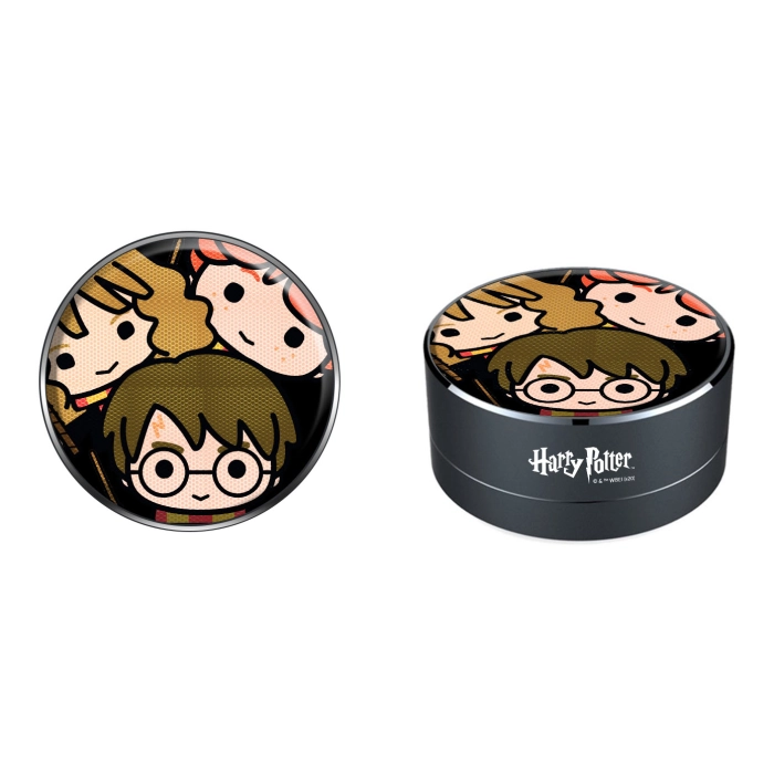 Przenośny głośnik bezprzewodowy 3W Harry Potter - produkt licencyjny
