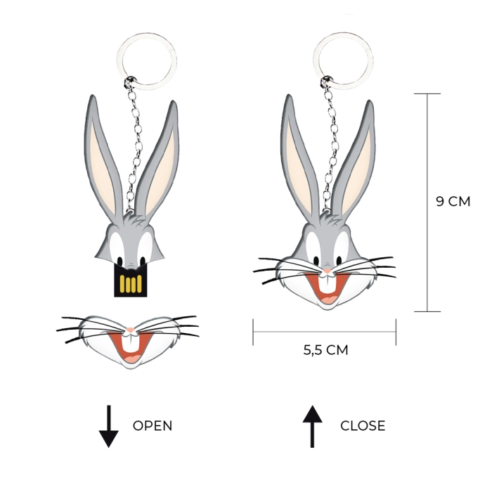 Flash disk 16 GB - Looney Tunes