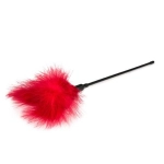 Erotic red feather
