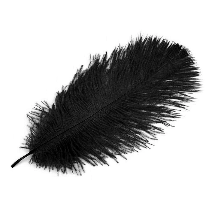 Soft erotic feather - black