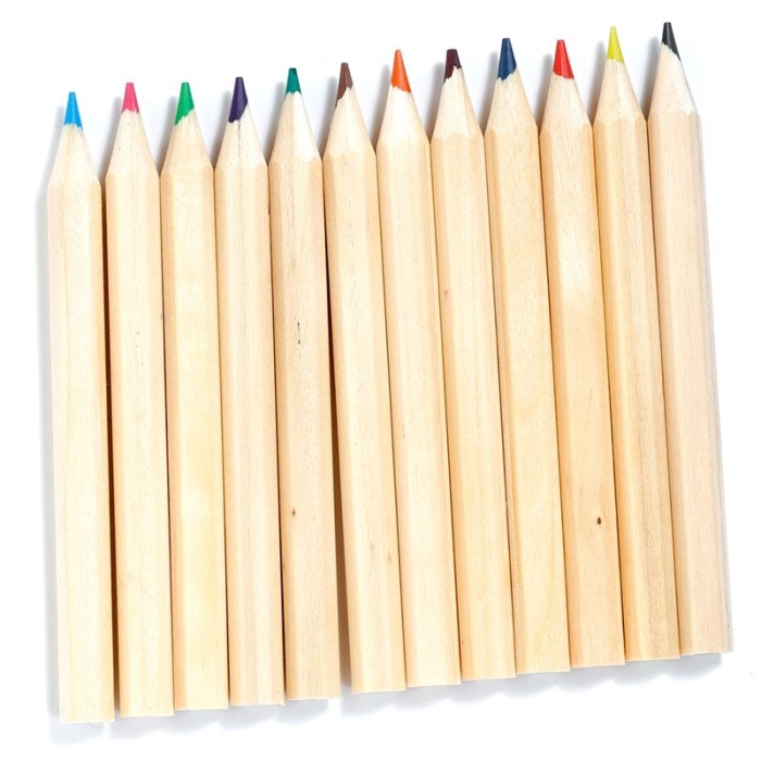 Wooden crayons (12 pieces) in a tube of Zooniverse