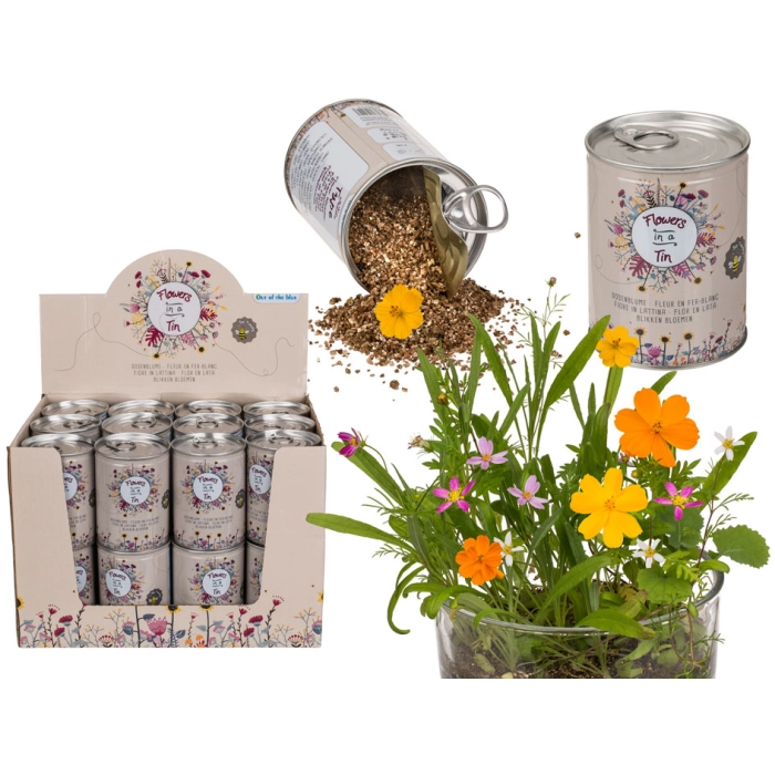 Blumen in der Wildnis - Ihre eigene Blumenwiese