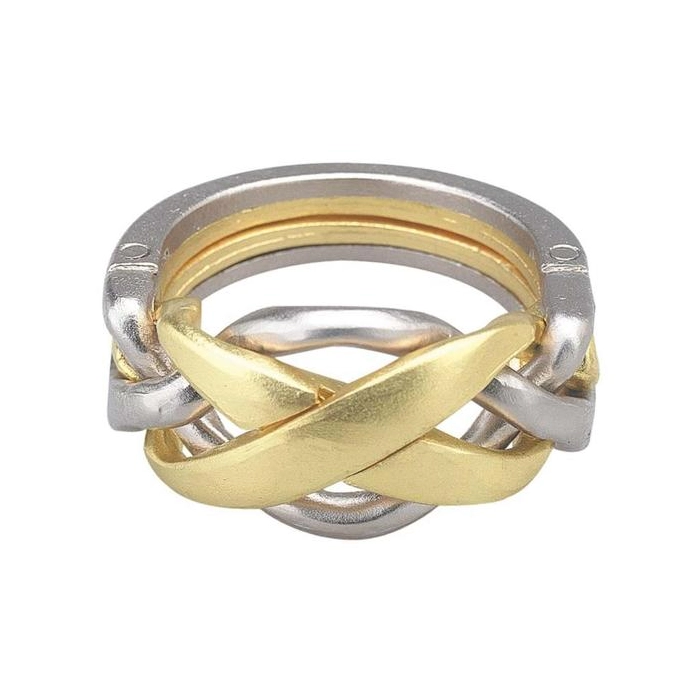 Hanayama Huzzle Cast Ring - puzzle úrovně 4/6