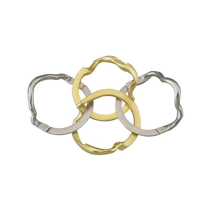 Hanayama Huzzle Cast Ring - puzzle úrovně 4/6