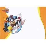 Karnet Looney Tunes z kopertą - 22 x 15 cm - SUPER PROMOCJA!!!!
