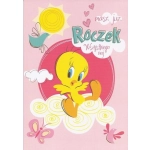 Karnet Looney Tunes z kopertą - 22 x 15 cm - SUPER PROMOCJA!!!!