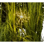 Napelemes kerti lámpa Dandelion 120LED