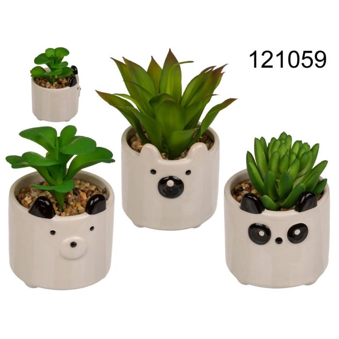 Decorative plant in a pot with a pet smiley face