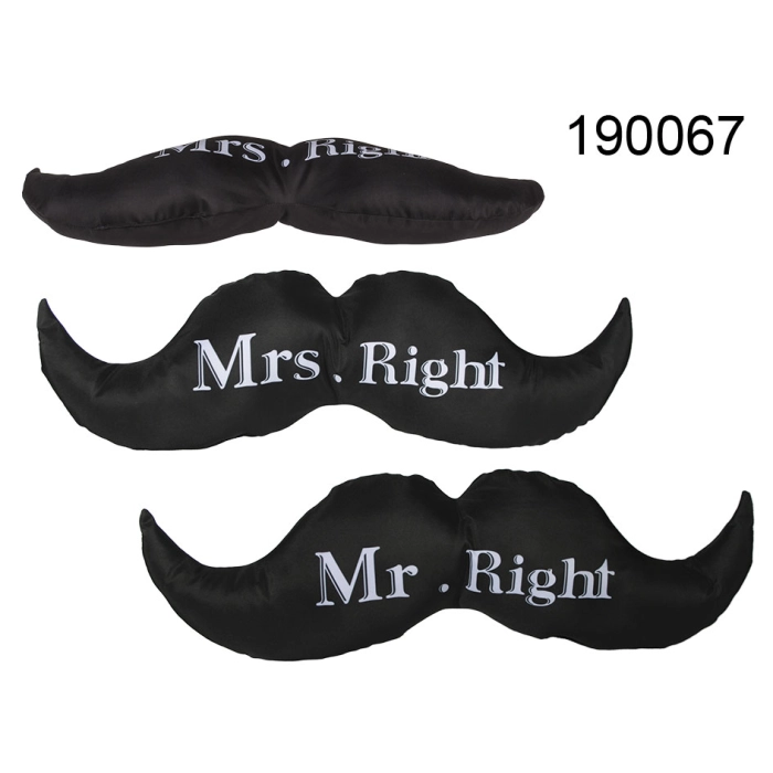 Mr. or Mrs. Right Pillow