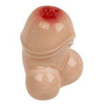 Niegrzeczne solniczki penis – śmieszny prezent na imprezę | Hurtownia gadżetów