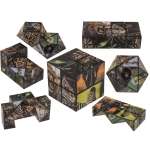 Boundless Cube, Wild Animals