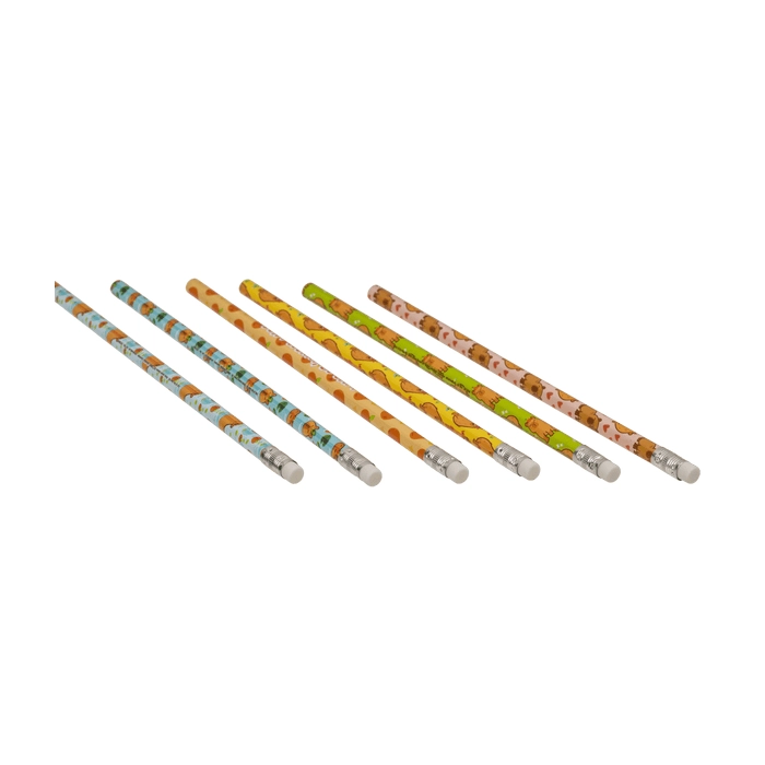 Zestaw Ołówków Capybara HB – 6 sztuk, Display 24 kpl.