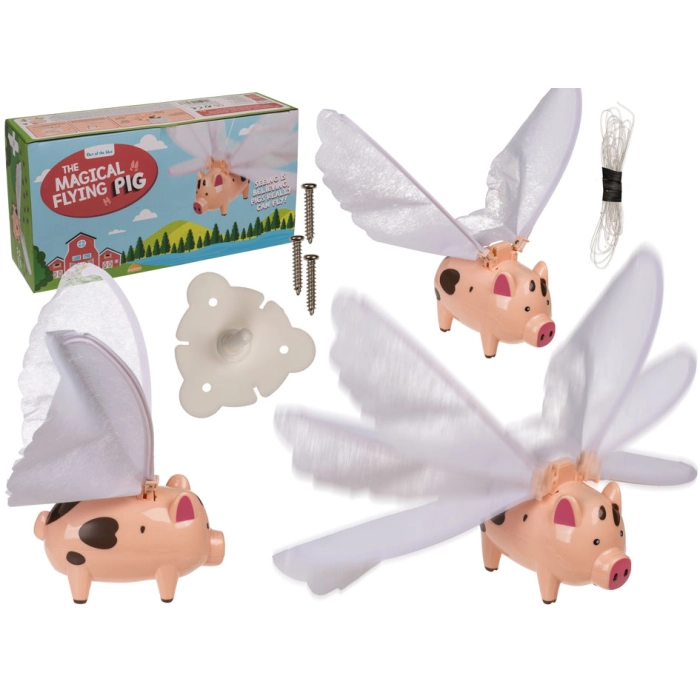 Flying pig - kemis.pl